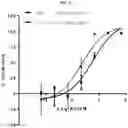 Fig. 04 - ANTI-CD47 ANTIBODIES AND USES THEREOF