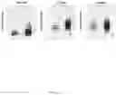 Fig. 24 - LILRB4-binding antibody and methods of use thereof