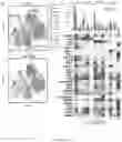 Fig. 26 - LILRB4-binding antibody and methods of use thereof