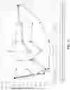 Fig. 13 - FCRN ANTIBODIES AND METHODS OF USE THEREOF