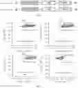 Fig. 02 - CHIMERIC ANTIGEN RECEPTOR AND USE THEREOF