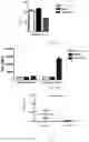 Fig. 04 - CHIMERIC ANTIGEN RECEPTOR AND USE THEREOF