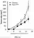 Fig. 02 - TARGETING REGULATORY B CELLS AND THEIR REGULATORS FOR CANCER IMMUNOTHERAPY
