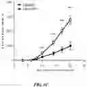 Fig. 04 - TARGETING REGULATORY B CELLS AND THEIR REGULATORS FOR CANCER IMMUNOTHERAPY