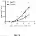 Fig. 06 - TARGETING REGULATORY B CELLS AND THEIR REGULATORS FOR CANCER IMMUNOTHERAPY