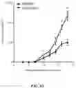 Fig. 07 - TARGETING REGULATORY B CELLS AND THEIR REGULATORS FOR CANCER IMMUNOTHERAPY