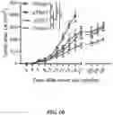 Fig. 09 - TARGETING REGULATORY B CELLS AND THEIR REGULATORS FOR CANCER IMMUNOTHERAPY