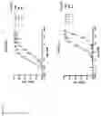 Fig. 69 - VISTA-BINDING ANTIBODIES AND USES THEREOF