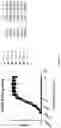 Fig. 13 - NOVEL ANTI-IFNAR1 ANTIBODIES