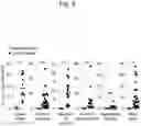 Fig. 04 - Method for suppressing regulatory T cell infiltration by CCR4 inhibition and method for treating canine neoplastic disease