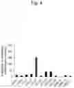 Fig. 05 - Method for suppressing regulatory T cell infiltration by CCR4 inhibition and method for treating canine neoplastic disease