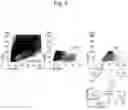 Fig. 08 - Method for suppressing regulatory T cell infiltration by CCR4 inhibition and method for treating canine neoplastic disease