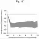Fig. 20 - Method for suppressing regulatory T cell infiltration by CCR4 inhibition and method for treating canine neoplastic disease