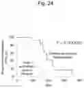 Fig. 25 - Method for suppressing regulatory T cell infiltration by CCR4 inhibition and method for treating canine neoplastic disease