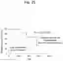 Fig. 26 - Method for suppressing regulatory T cell infiltration by CCR4 inhibition and method for treating canine neoplastic disease