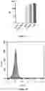 Fig. 04 - AMHRII-BINDING COMPOUNDS FOR PREVENTING OR TREATING CANCERS
