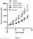 Fig. 10 - AMHRII-BINDING COMPOUNDS FOR PREVENTING OR TREATING CANCERS