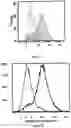 Fig. 12 - AMHRII-BINDING COMPOUNDS FOR PREVENTING OR TREATING CANCERS