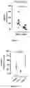 Fig. 17 - AMHRII-BINDING COMPOUNDS FOR PREVENTING OR TREATING CANCERS