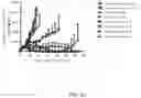 Fig. 06 - CD30-BINDING MOIETIES, CHIMERIC ANTIGEN RECEPTORS, AND USES THEREOF
