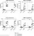 Fig. 01 - Bispecific antibody against CD3 and CD20 in combination therapy for treating follicular lymphoma