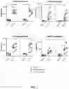 Fig. 02 - Bispecific antibody against CD3 and CD20 in combination therapy for treating follicular lymphoma