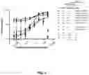 Fig. 03 - Bispecific antibody against CD3 and CD20 in combination therapy for treating follicular lymphoma