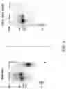Fig. 06 - Anti-polymeric IgA antibodies and methods of use