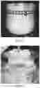 Fig. 04 - Dextran-poly alpha-1,3-glucan graft copolymers and synthesis methods thereof