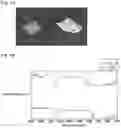 Fig. 08 - METHOD FOR SURFACE MODIFICATION OF FLUORORESIN