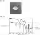 Fig. 09 - METHOD FOR SURFACE MODIFICATION OF FLUORORESIN