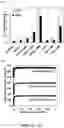 Fig. 12 - Triazine-based membranes for gas separation