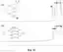Fig. 33 - ASSOCIATIVE POLYMERS AND RELATED COMPOSITIONS, METHODS AND SYSTEMS