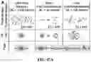 Fig. 50 - ASSOCIATIVE POLYMERS AND RELATED COMPOSITIONS, METHODS AND SYSTEMS