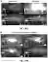 Fig. 57 - ASSOCIATIVE POLYMERS AND RELATED COMPOSITIONS, METHODS AND SYSTEMS
