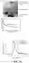 Fig. 73 - ASSOCIATIVE POLYMERS AND RELATED COMPOSITIONS, METHODS AND SYSTEMS