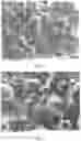 Fig. 04 - THERMALLY CONDUCTIVE COMPOSITION AND METHOD FOR PRODUCING THE SAME