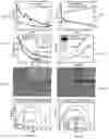 Fig. 14 - METHOD AND SYSTEM FOR GENERATING A POLYMER-PEROVSKITE HYBRID