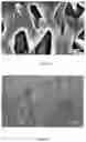 Fig. 15 - METHOD AND SYSTEM FOR GENERATING A POLYMER-PEROVSKITE HYBRID