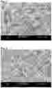 Fig. 02 - METHOD FOR PRODUCING A COPOLYMER FOAM WITH POLYAMIDE BLOCKS AND POLYETHER BLOCKS