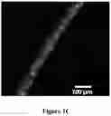 Fig. 04 - THERMOPLASTIC POLYMER COMPOSITION FOR MICRO 3D PRINTING AND USES THEREOF