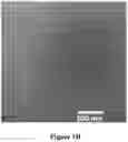 Fig. 05 - THERMOPLASTIC POLYMER COMPOSITION FOR MICRO 3D PRINTING AND USES THEREOF
