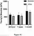 Fig. 08 - THERMOPLASTIC POLYMER COMPOSITION FOR MICRO 3D PRINTING AND USES THEREOF