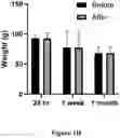 Fig. 09 - THERMOPLASTIC POLYMER COMPOSITION FOR MICRO 3D PRINTING AND USES THEREOF