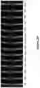 Fig. 16 - THERMOPLASTIC POLYMER COMPOSITION FOR MICRO 3D PRINTING AND USES THEREOF