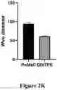Fig. 23 - THERMOPLASTIC POLYMER COMPOSITION FOR MICRO 3D PRINTING AND USES THEREOF