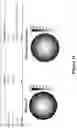 Fig. 26 - THERMOPLASTIC POLYMER COMPOSITION FOR MICRO 3D PRINTING AND USES THEREOF