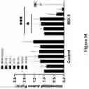 Fig. 40 - THERMOPLASTIC POLYMER COMPOSITION FOR MICRO 3D PRINTING AND USES THEREOF