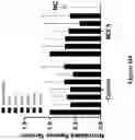 Fig. 41 - THERMOPLASTIC POLYMER COMPOSITION FOR MICRO 3D PRINTING AND USES THEREOF