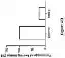 Fig. 45 - THERMOPLASTIC POLYMER COMPOSITION FOR MICRO 3D PRINTING AND USES THEREOF
